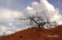 /album/fotogaleria/img-0434-masolata-2-jpg/